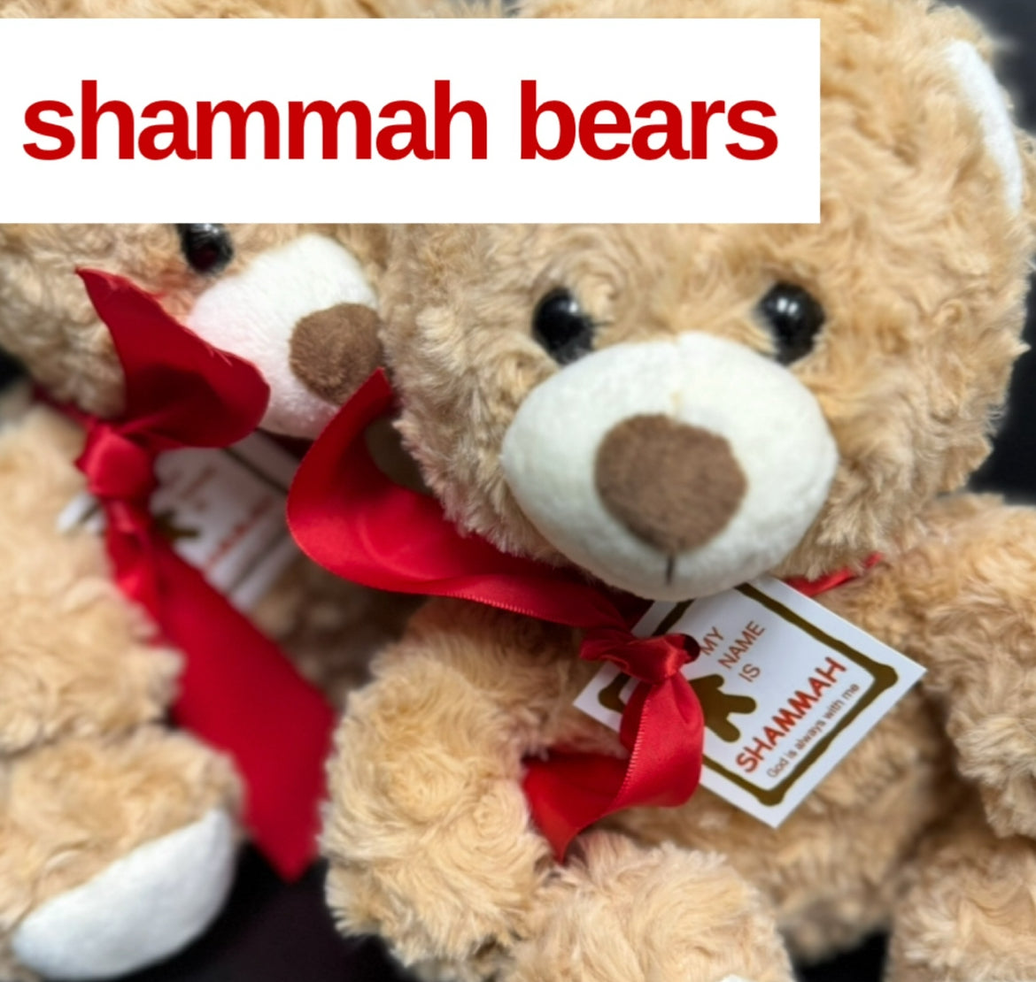 SHAMMAH BEARS